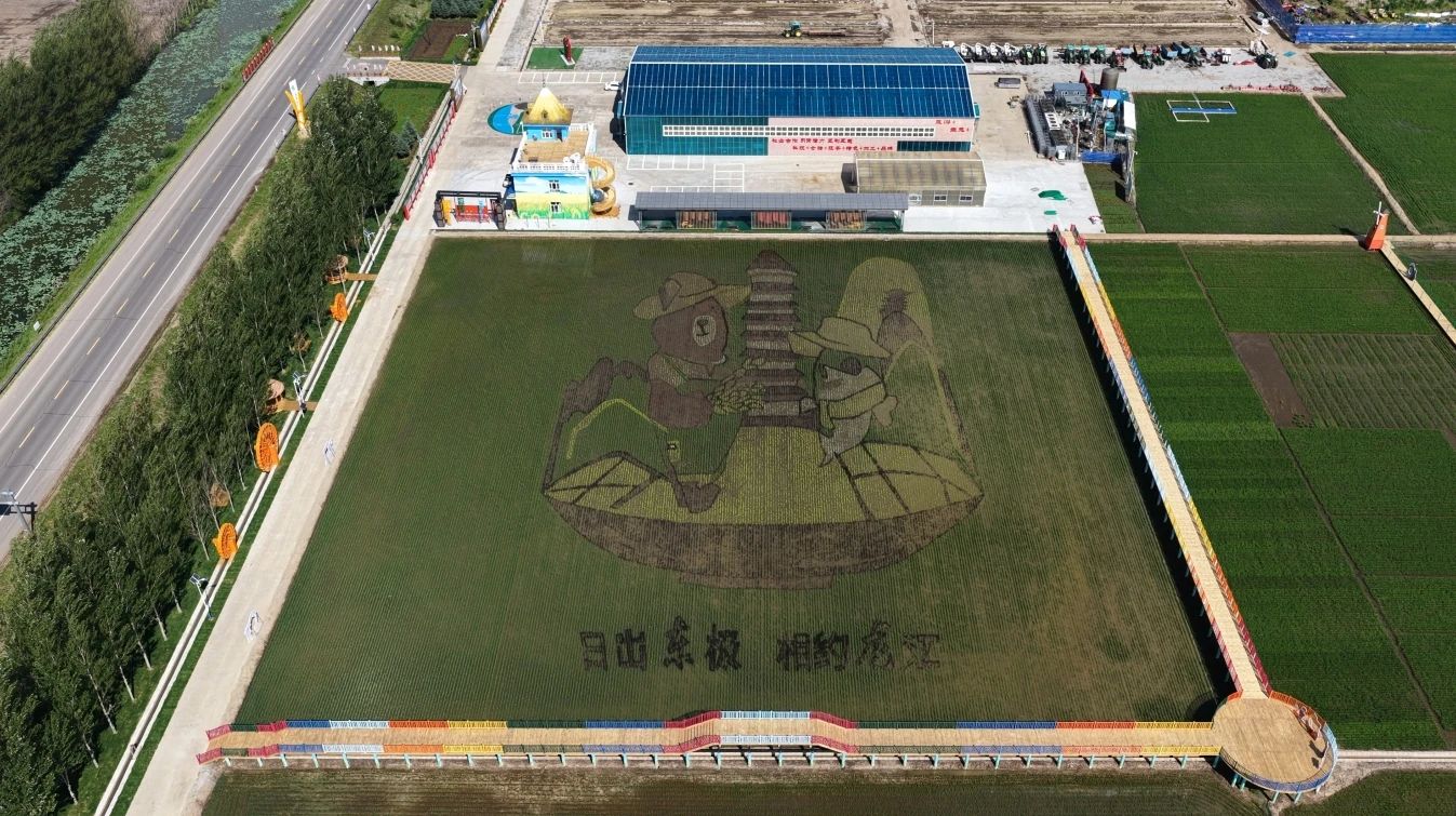 微信圖片_20250630092829.jpg