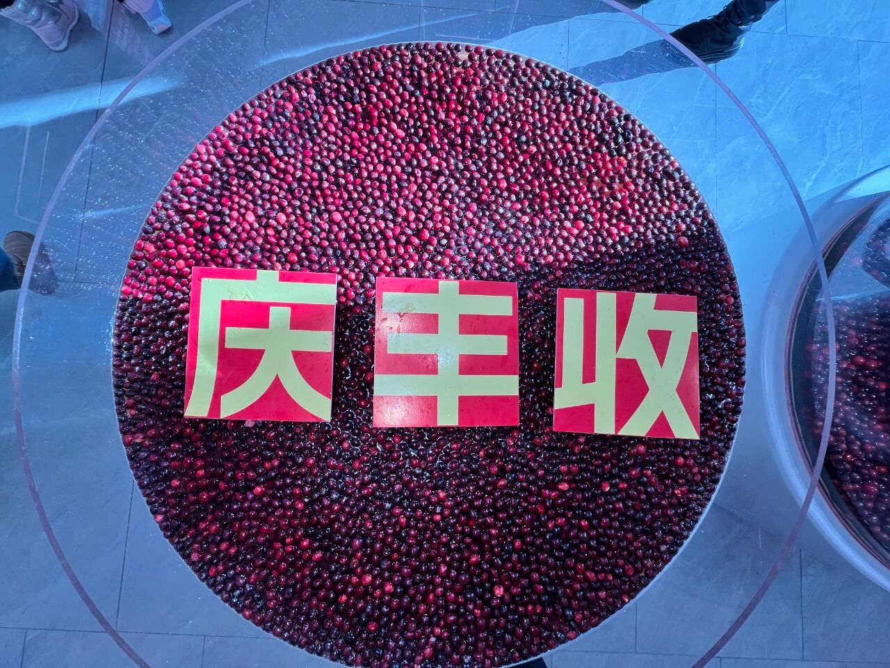 微信圖片_2025-09-19_095047_075.jpg